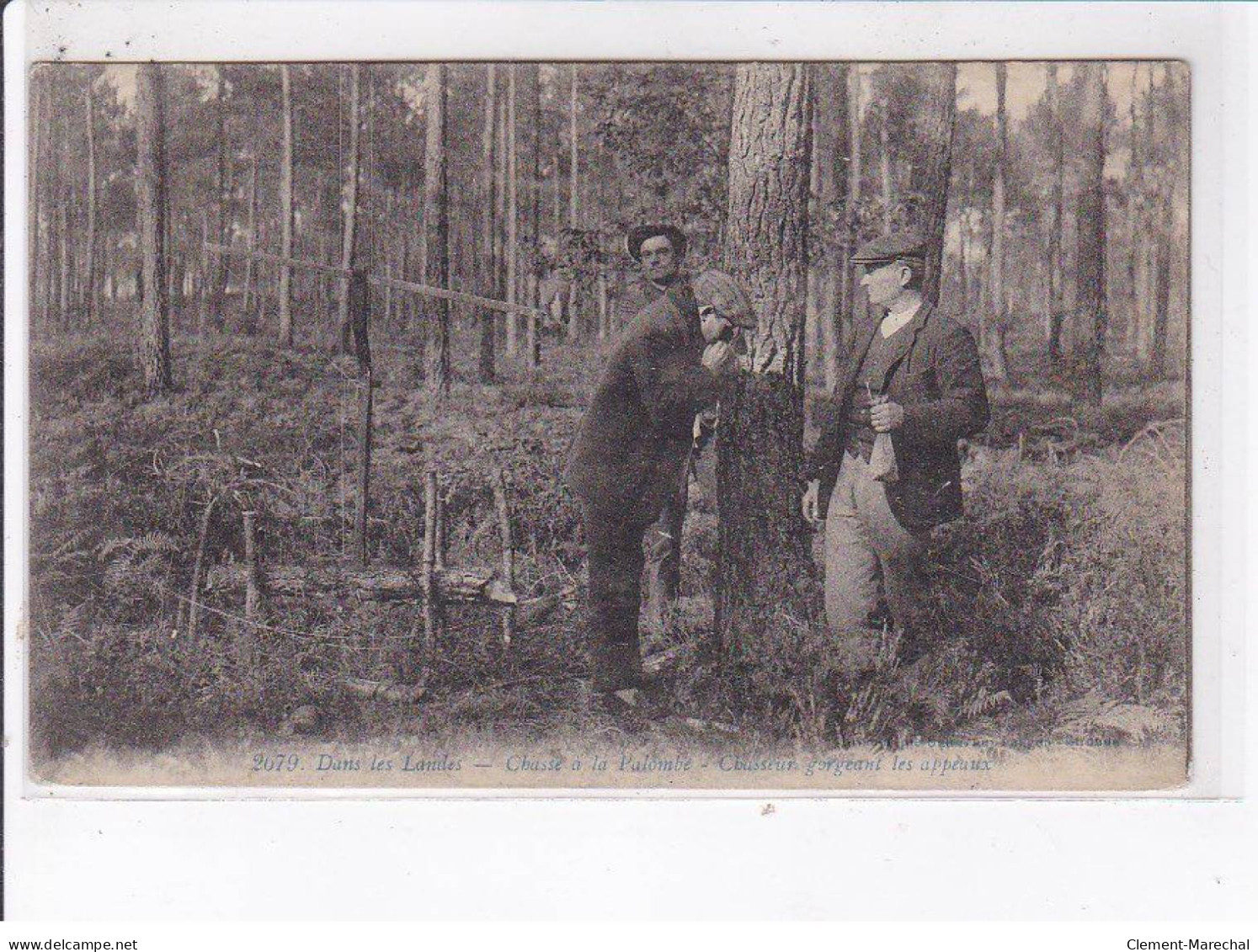 LANDES: Chasse à La Palombe, Chasseurs Gorgeants Les Appeaux - état - Other & Unclassified