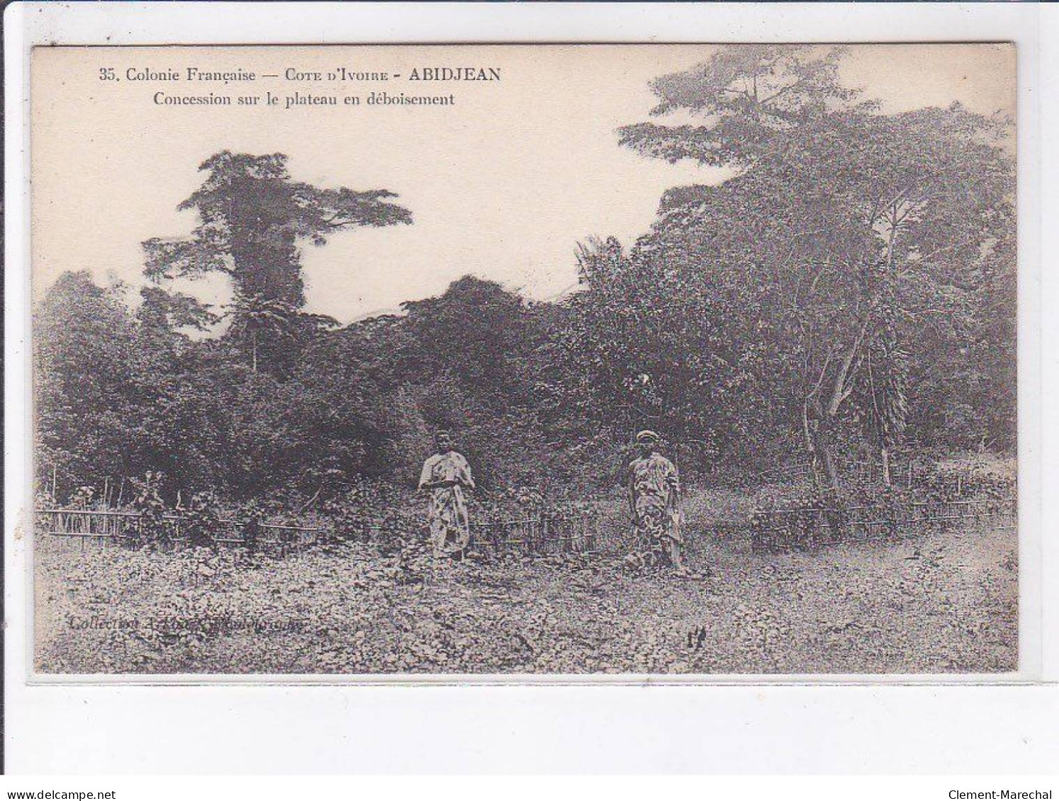 CÔTE D'IVOIRE: ABIDJEAN: Concession Sur La Plateau En Déboisement - Très Bon état - Costa De Marfil