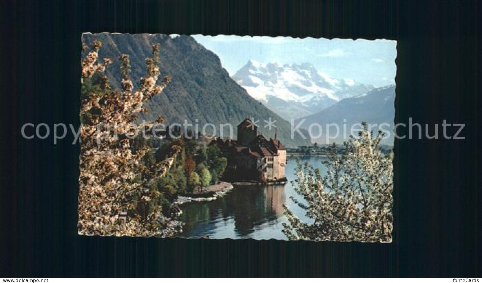 12311273 Lac Leman Genfersee Chateau Chillon Midi Frintemps  Genf - Sonstige & Ohne Zuordnung
