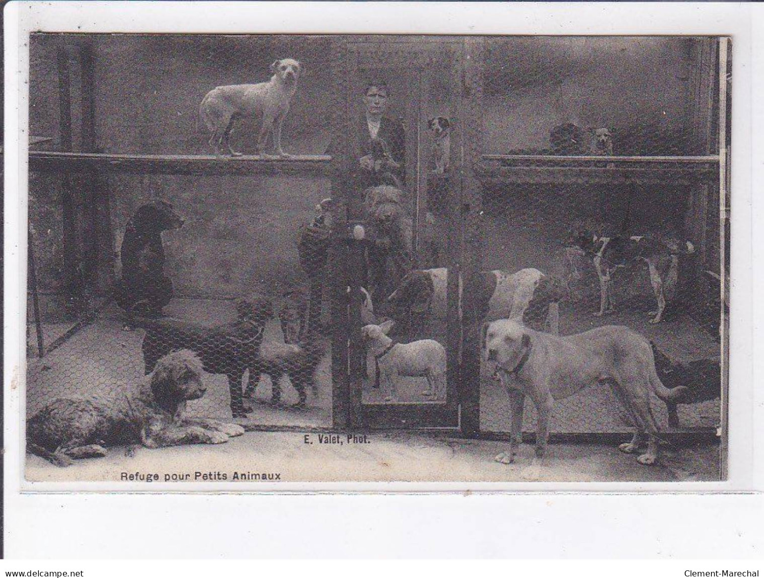 PARIS: 75015, Refuge Pour Petits Animaux, SPA, 84 Rue De Grenelle - Très Bon état - Paris (15)