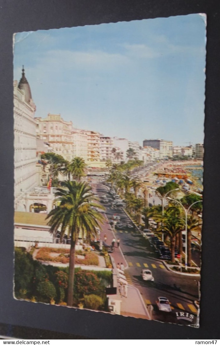 Cannes - Les Grands Hôtels Sur La Croisette - Editions "La Cigogne", Monaco - Cannes