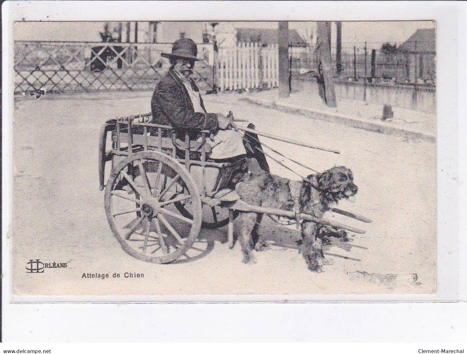 ORLEANS: Attelage De Chien, Voiture à Chien - Très Bon état - Orleans