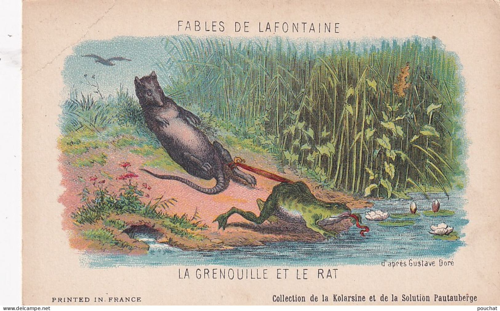 UR Nw43- LA GRENOUILLE ET LE RAT , FABLES DE LA FONTAINE - COLL. DE LA KOLARSINE  - ILL. G. DORE - Sonstige & Ohne Zuordnung