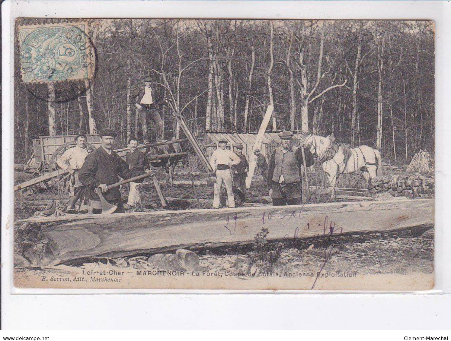 MARCHENOIR: La Forêt, Coupe De Futaie, Ancienne Exploitation - état (traces) - Marchenoir