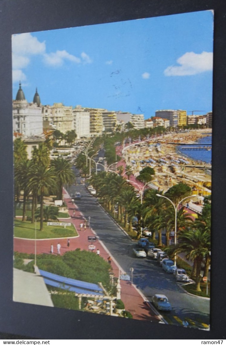 Cannes - Les Grands Hôtels Sur La Croisette - Editions "La Cigogne", Monaco - Cannes