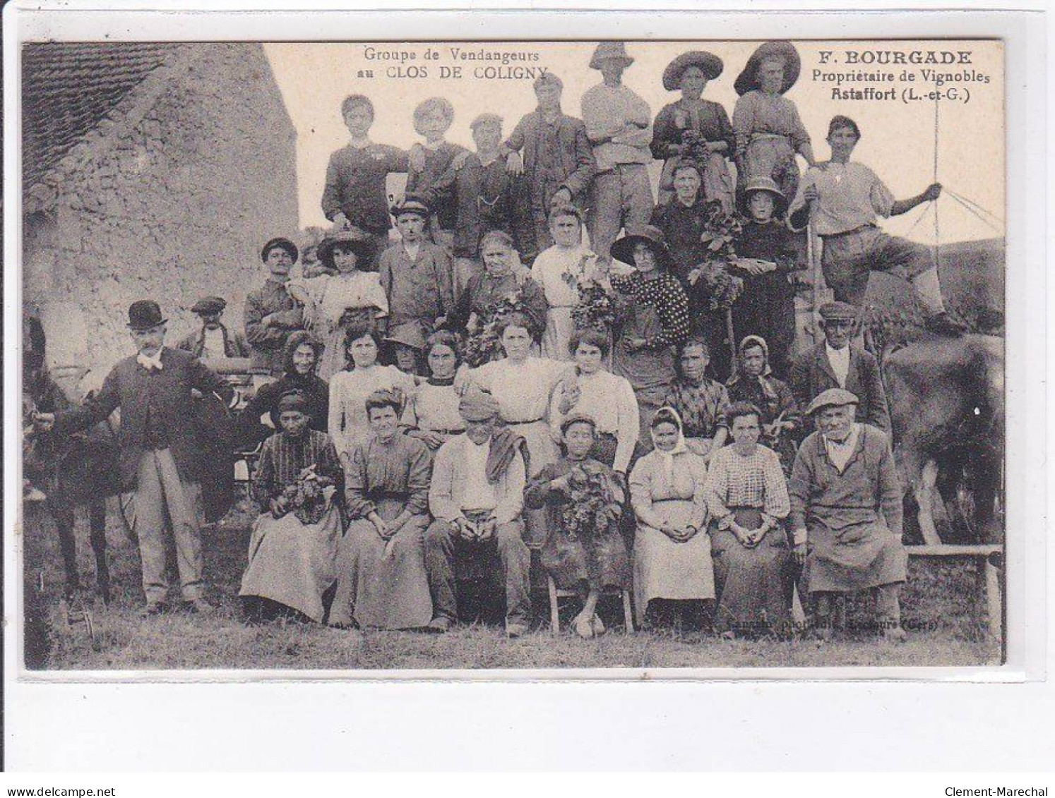 ASTAFFORT: Groupe De Vendangeurs, Clos De Coligny, F. Bourgade - Très Bon état - Astaffort