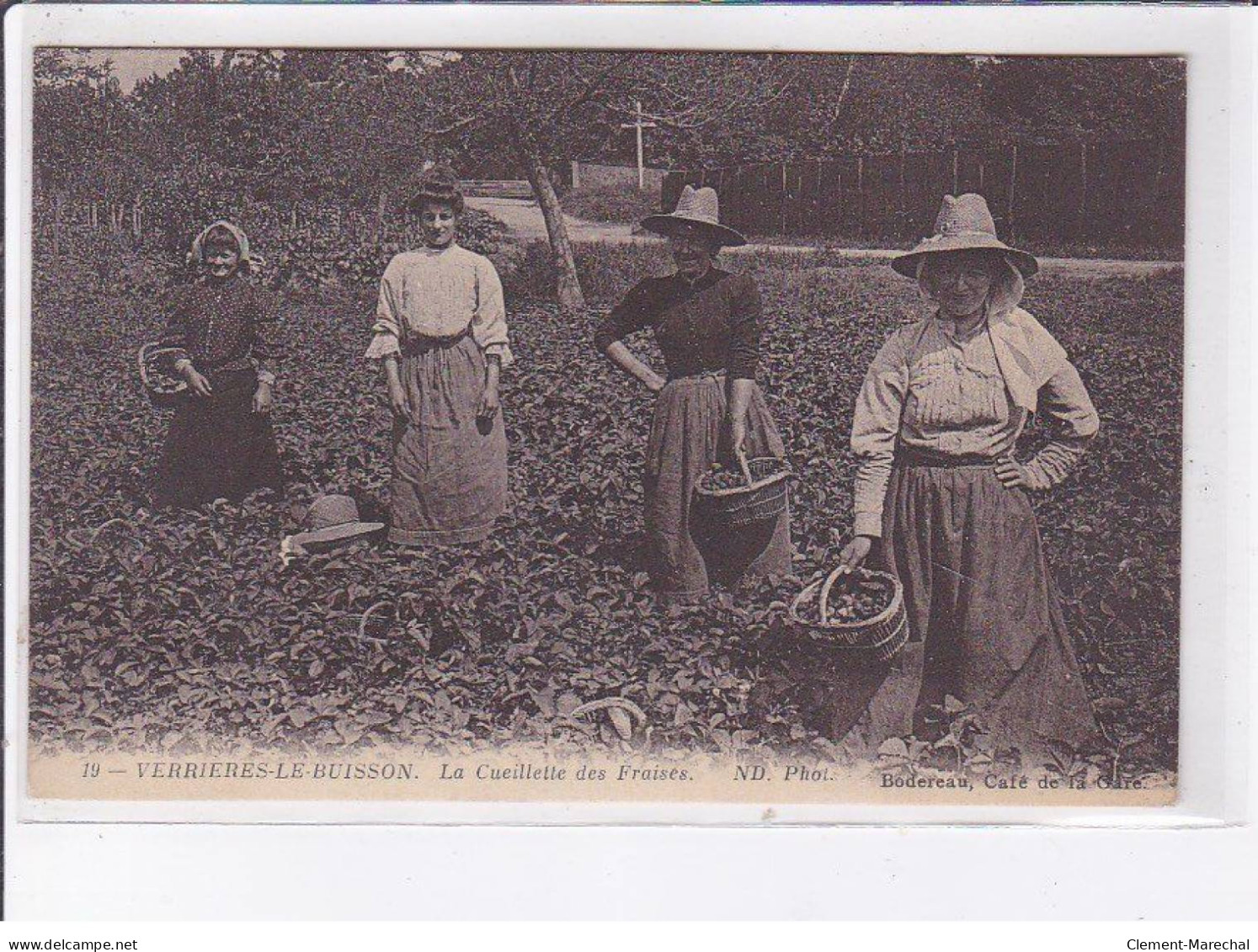 VERRIERES-le-BUISSON: La Cueillette Des Fraises - Très Bon état - Verrieres Le Buisson