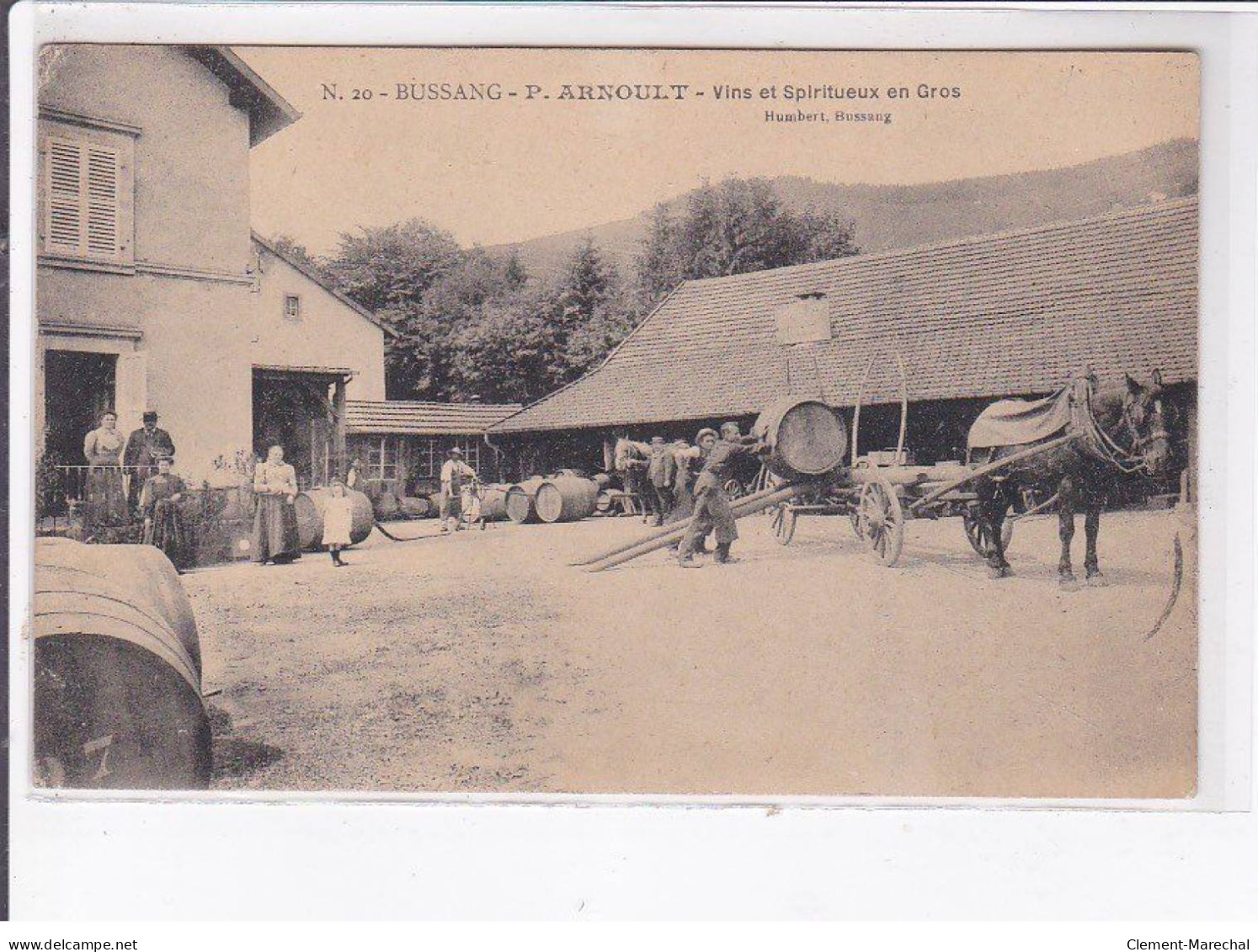 BUSSANG: P. Arnoult, Vins Et Spiritueux En Gros - Très Bon état - Bussang