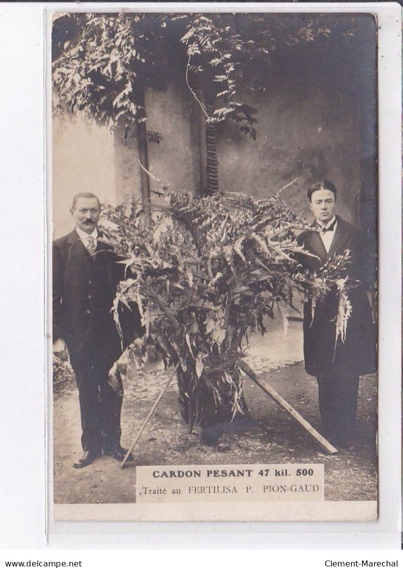 ORNACIEUX Par La Cote Saint-andré: Moulin De Parassat, Cardon Pesant 47kg - Très Bon état - Andere & Zonder Classificatie