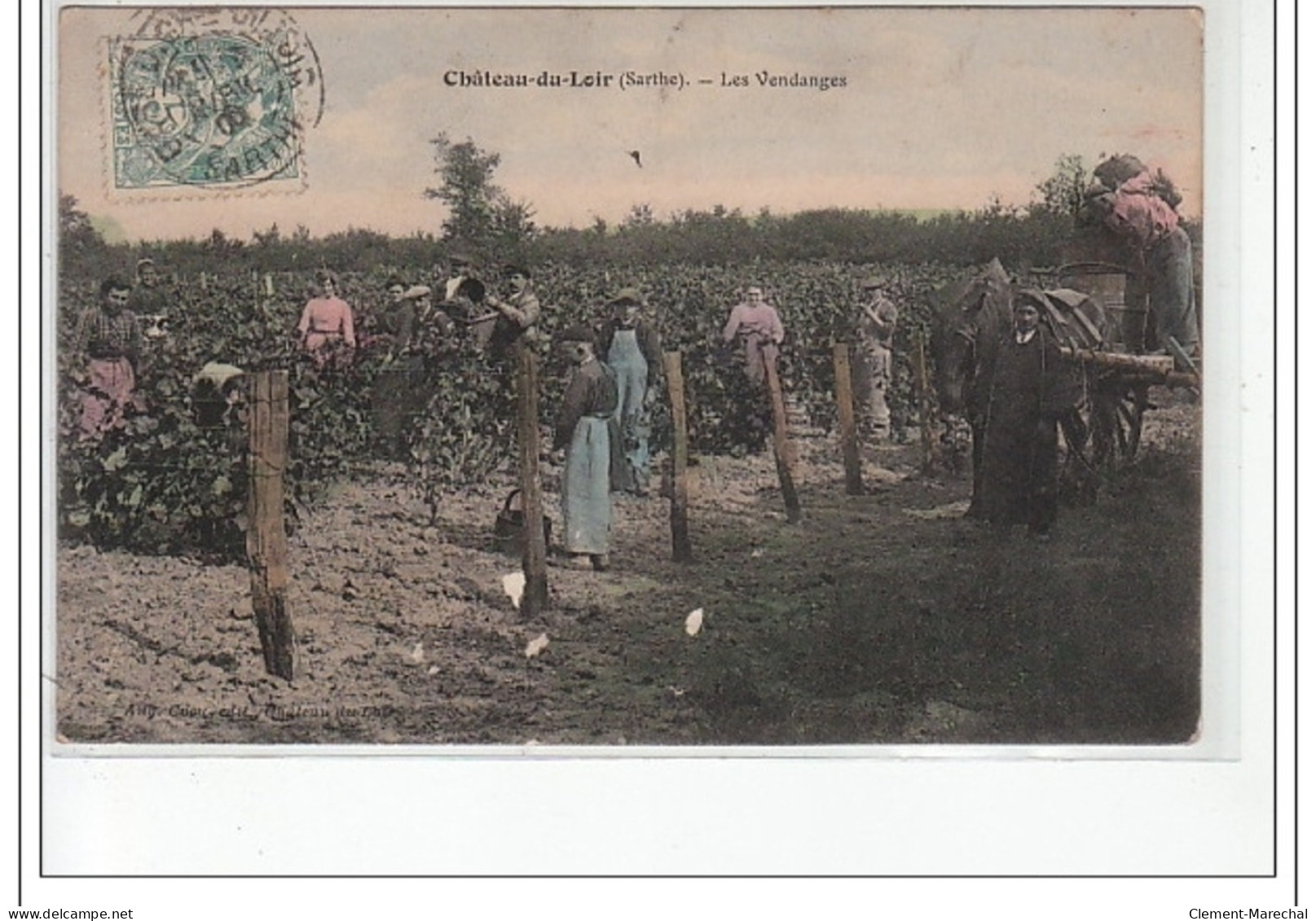 CHATEAU DU LOIR - Les Vendanges - état - Chateau Du Loir