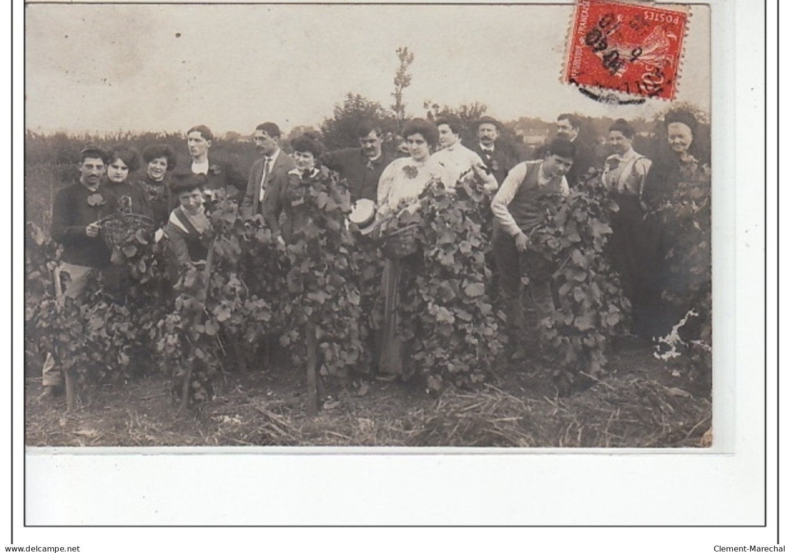 CHATILLON - PAGNEUX - CARTE PHOTO - VENDANGES - Très Bon état - Autres & Non Classés