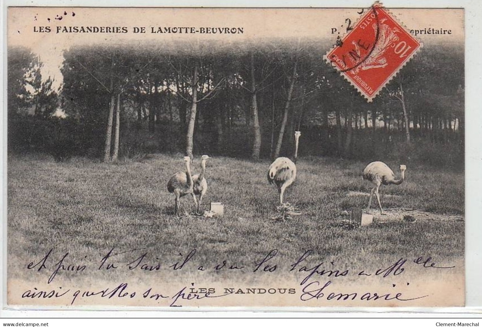 LAMOTTE BEUVRON : Les Faisanderies """"Les Nandous"""" - Très Bon état - Lamotte Beuvron