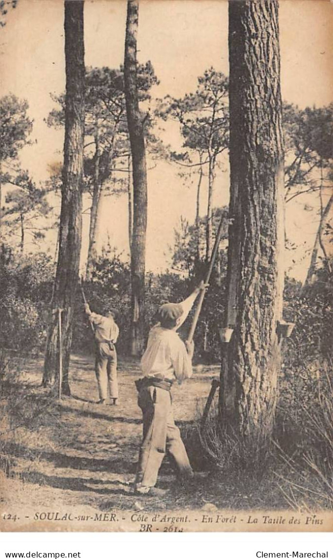 SOULAC SUR MER - En Forêt - La Taille Des Pins - Très Bon état - Soulac-sur-Mer