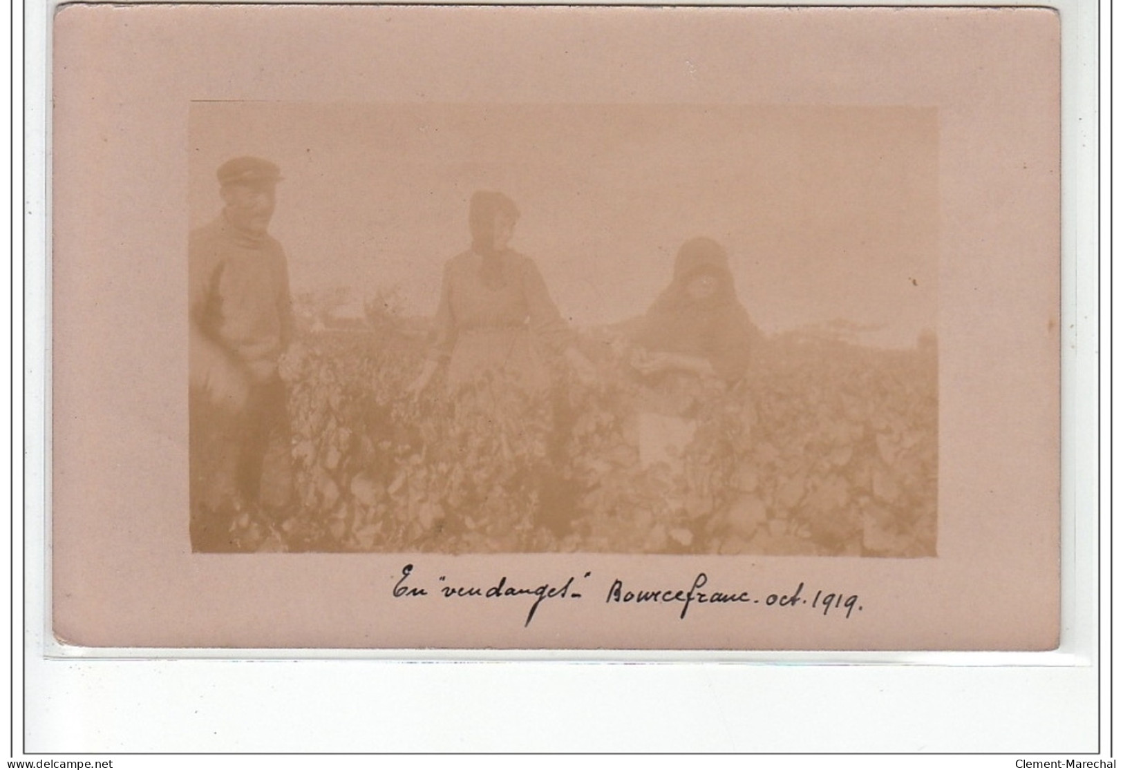 BOURCEFRANC : Carte Photo Des Vendanges En 1919 - Très Bon état (passée) - Sonstige & Ohne Zuordnung