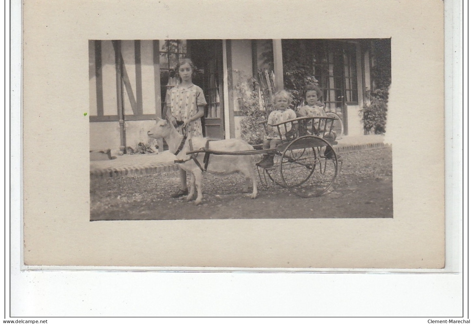 Carte Photo A Localiser : Une Voiture A Chèvre (attelage) - Très Bon état - A Identifier