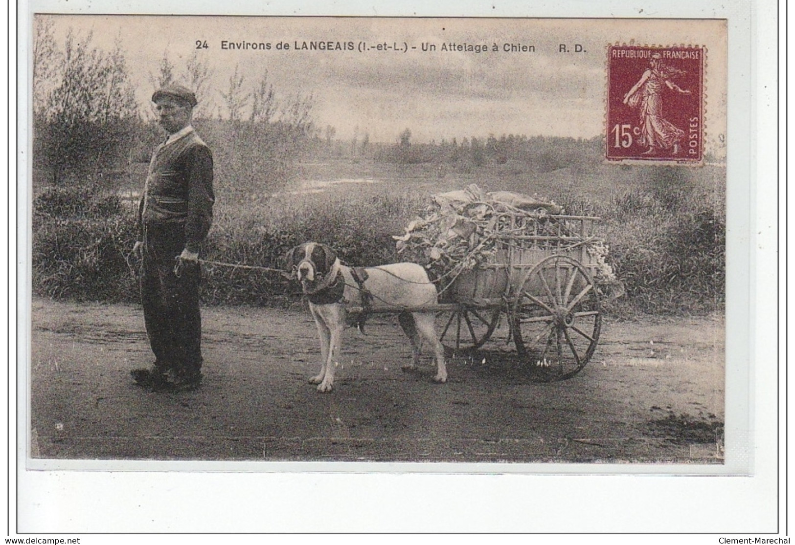 Environs De LANGEAIS : Un Attelage à Chien - Très Bon état - Other & Unclassified