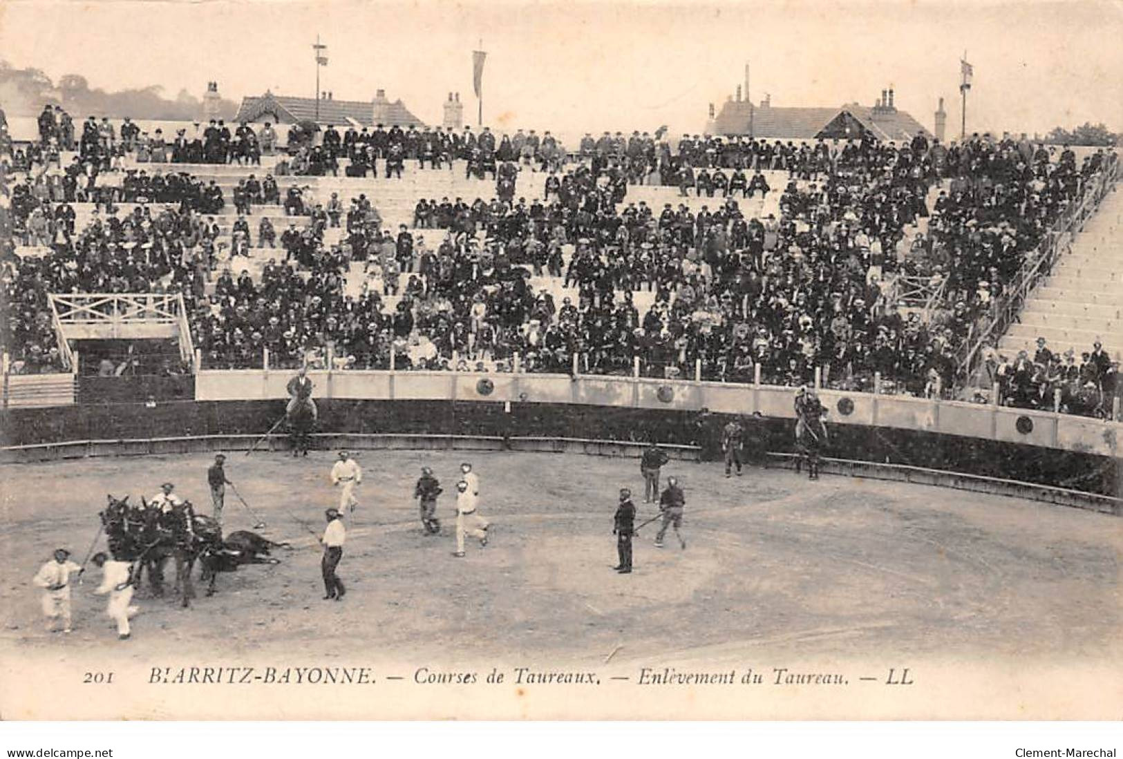 BIARRITZ - BAYONNE - Courses De Taureaux - Enlèvement Du Taureau - Très Bon état - Biarritz