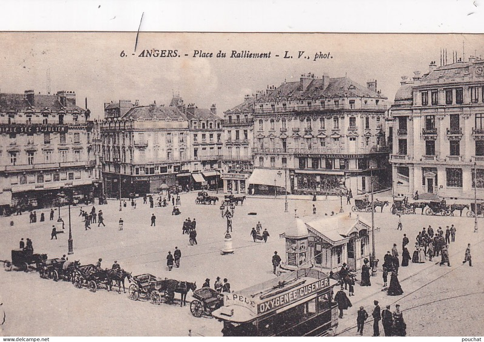 VE Nw-(49) ANGERS - PLACE DU RALLIEMENT - VUE GENERALE - ANIMATION -  TRAMWAY , ATTELAGES - Angers