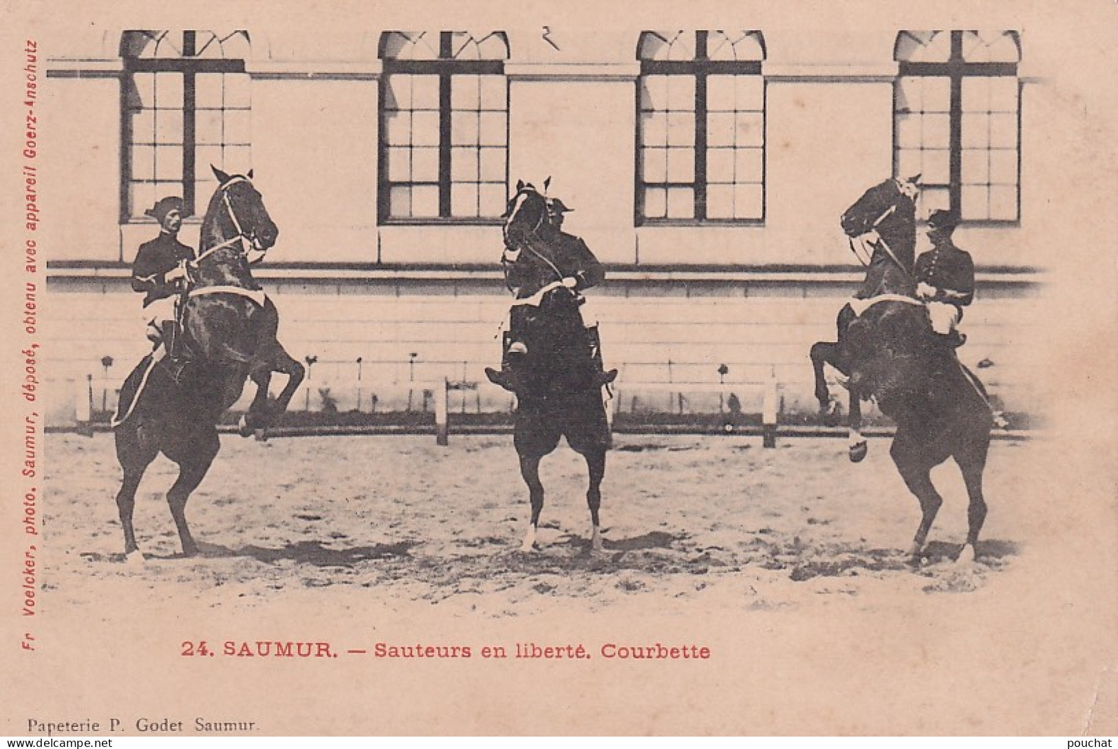 VE Nw-(49) SAUMUR - SAUTEURS EN LIBERTE , COURBETTE - CAVALIERS - Saumur