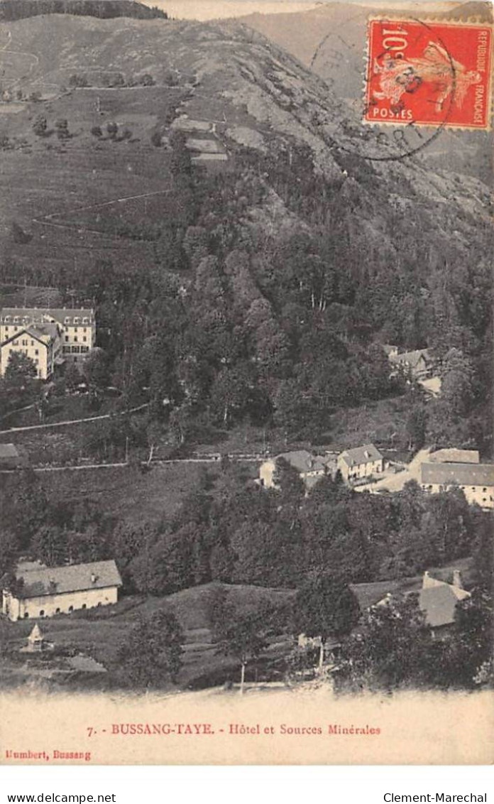 BUSSANG TAYE - Hôtel Et Sources Minérales - Très Bon état - Bussang