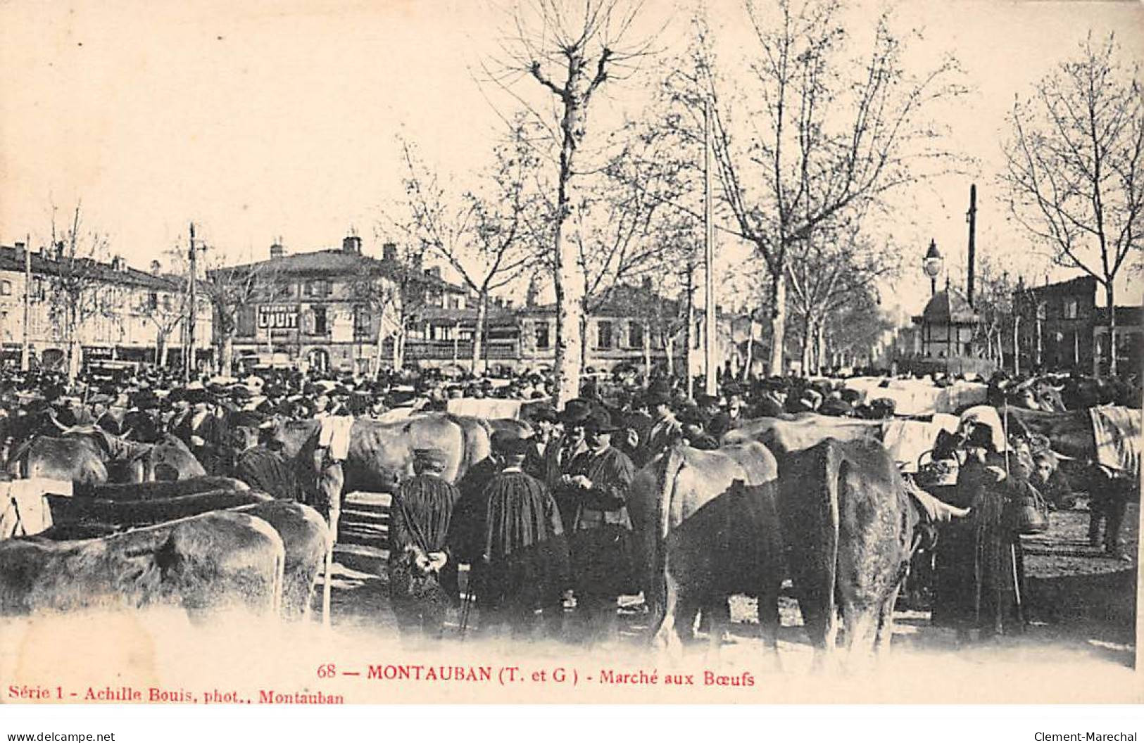 MONTAUBAN - Marché Aux Boeufs - Très Bon état - Montauban