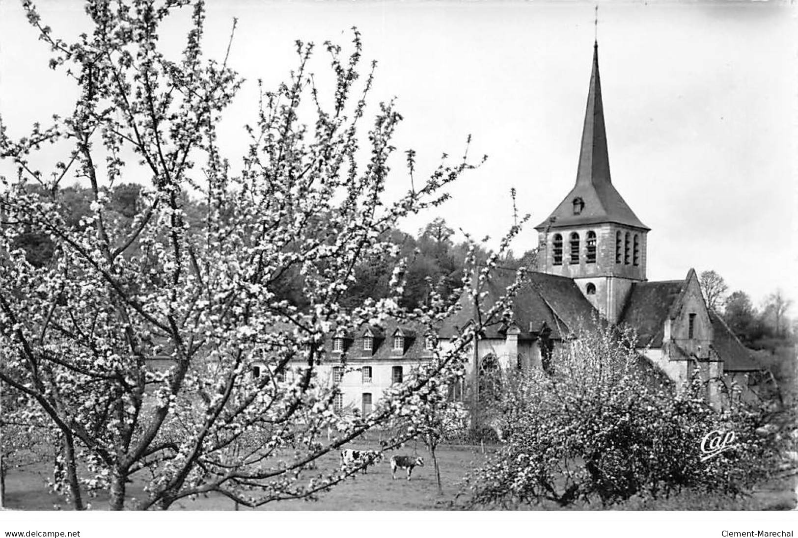 SAINT HIMER - L'Eglise - Très Bon état - Other & Unclassified