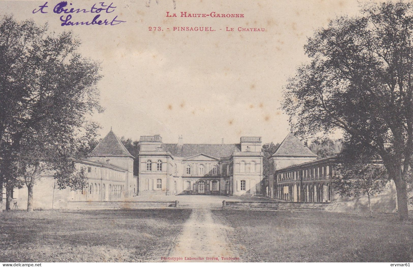 31 - PINSAGUEL - LE CHATEAU - Other & Unclassified