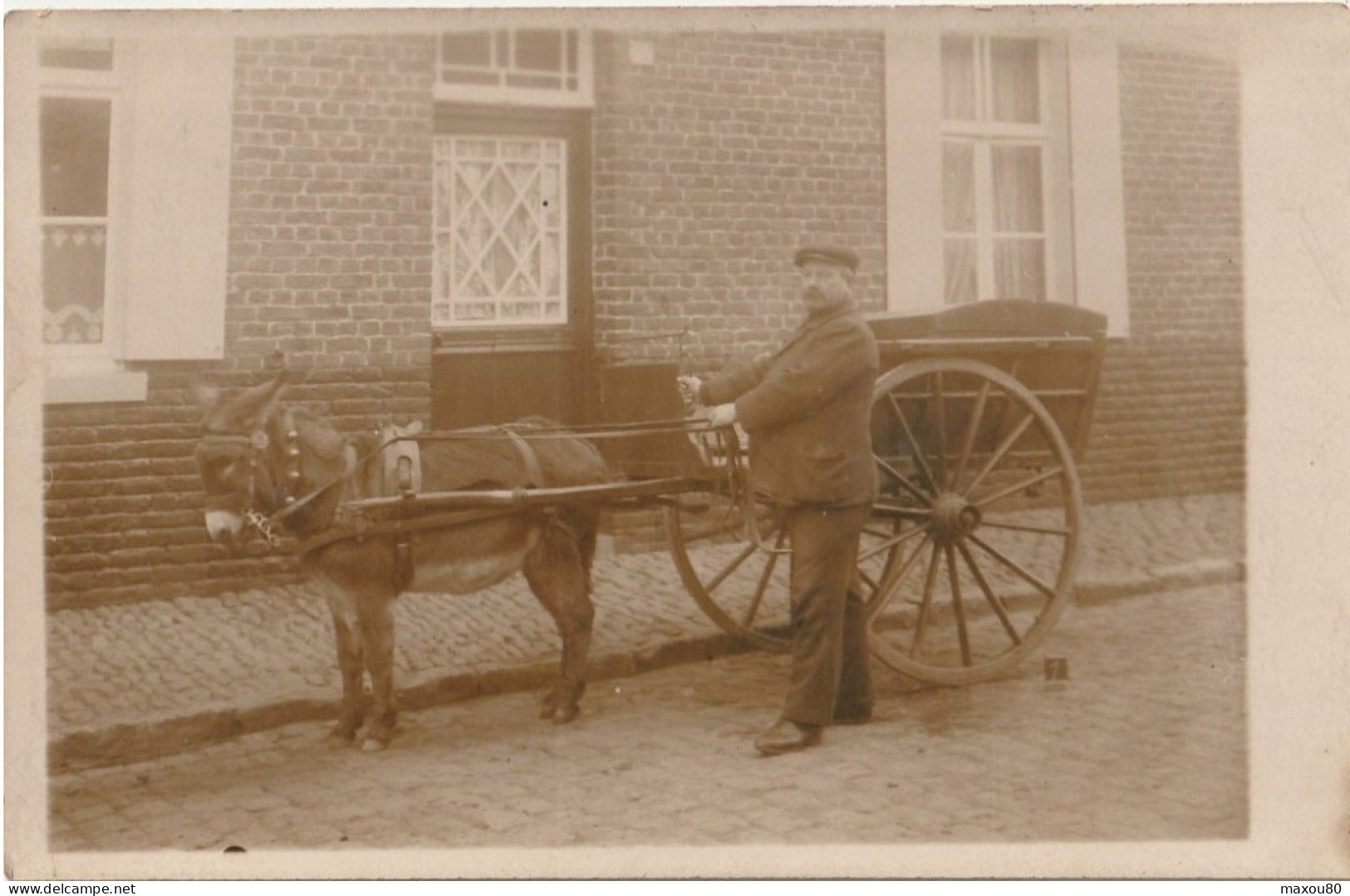 Carte Photo  ( Bel Attelage, âne Avec Charrette ) - Ezels