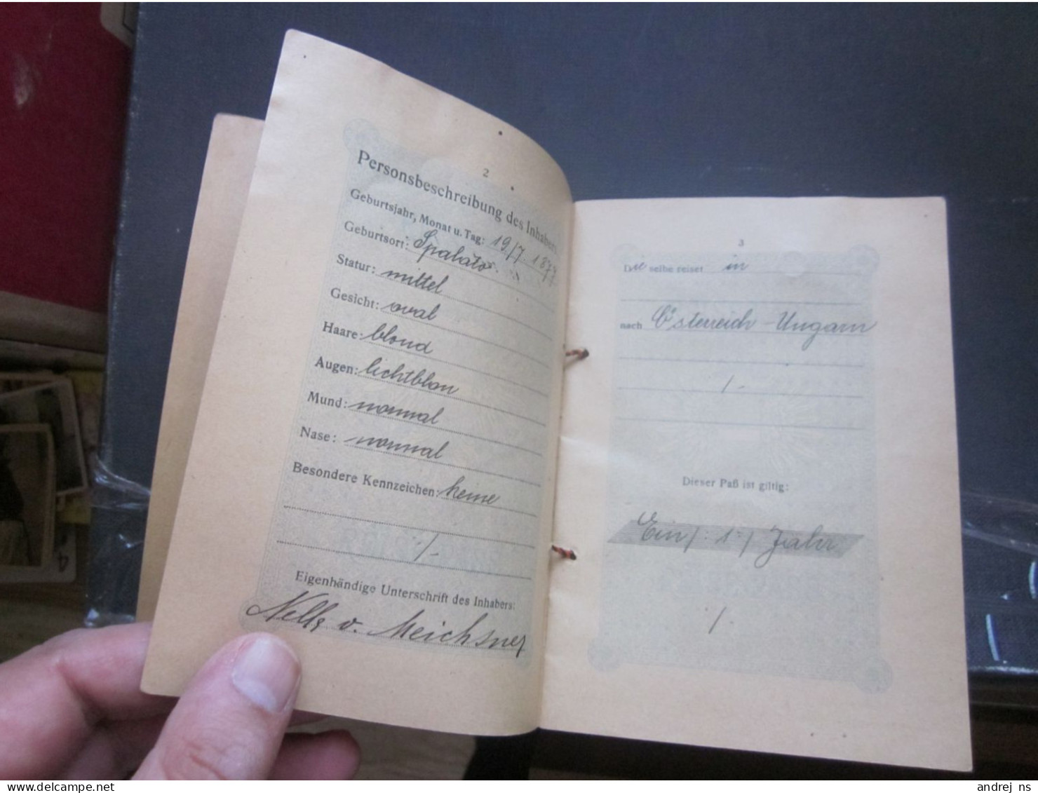 Austria Hungary Passport  Majestat Karl Wien 1917 Geburtsort Spalato Split NELLA MEICHSNER VON Meichsenau RRR EXTRA - Documentos Históricos