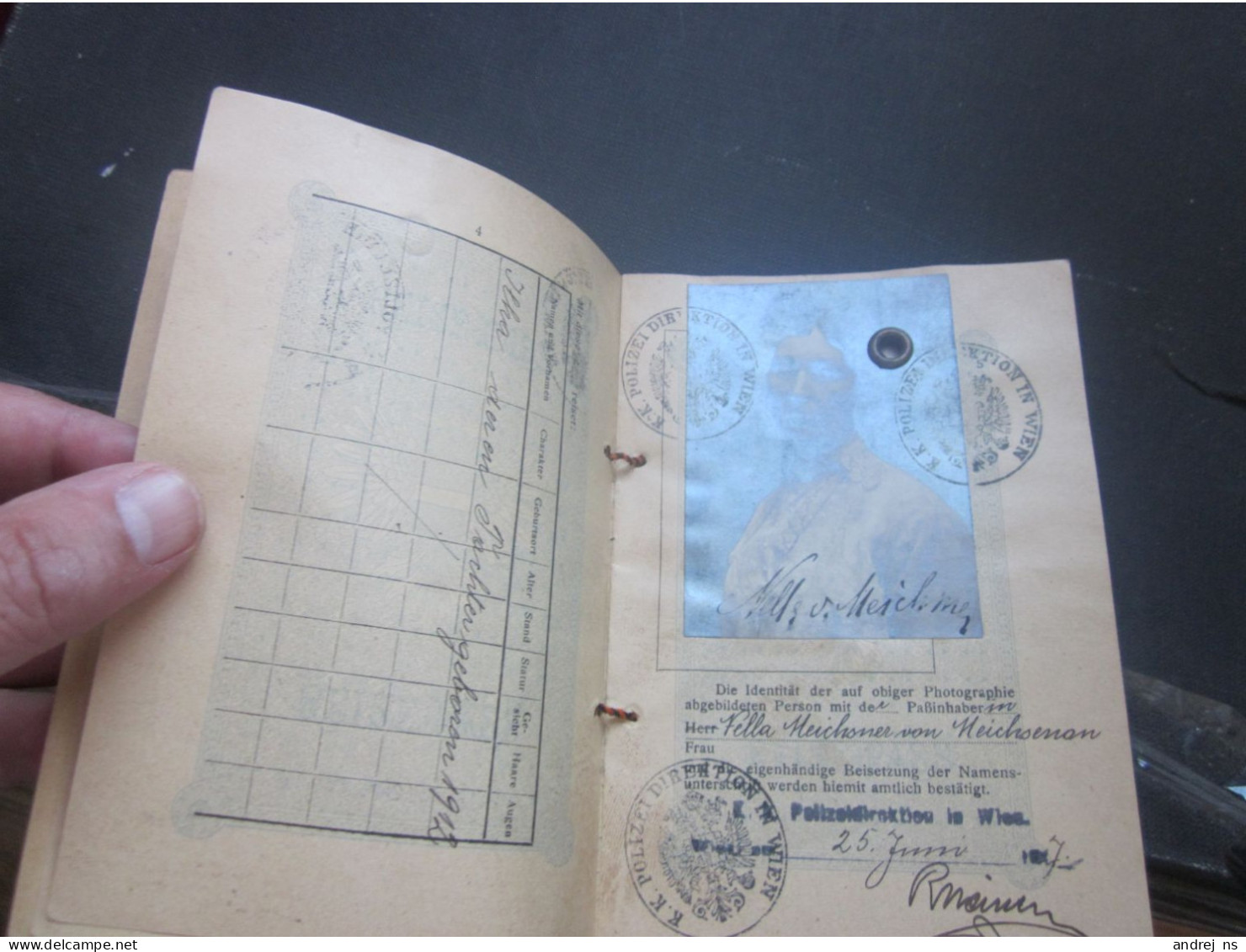 Austria Hungary Passport  Majestat Karl Wien 1917 Geburtsort Spalato Split NELLA MEICHSNER VON Meichsenau RRR EXTRA - Historische Dokumente