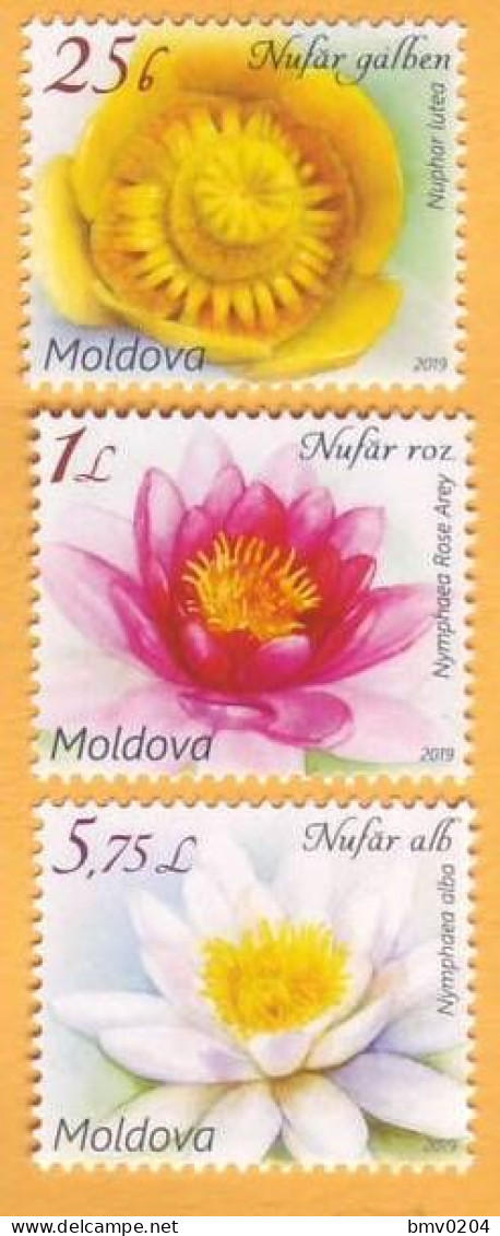 2019 Moldova Moldavie  Flora, Flowers, Water Lilies. Nature  3v Mint - Moldawien (Moldau)