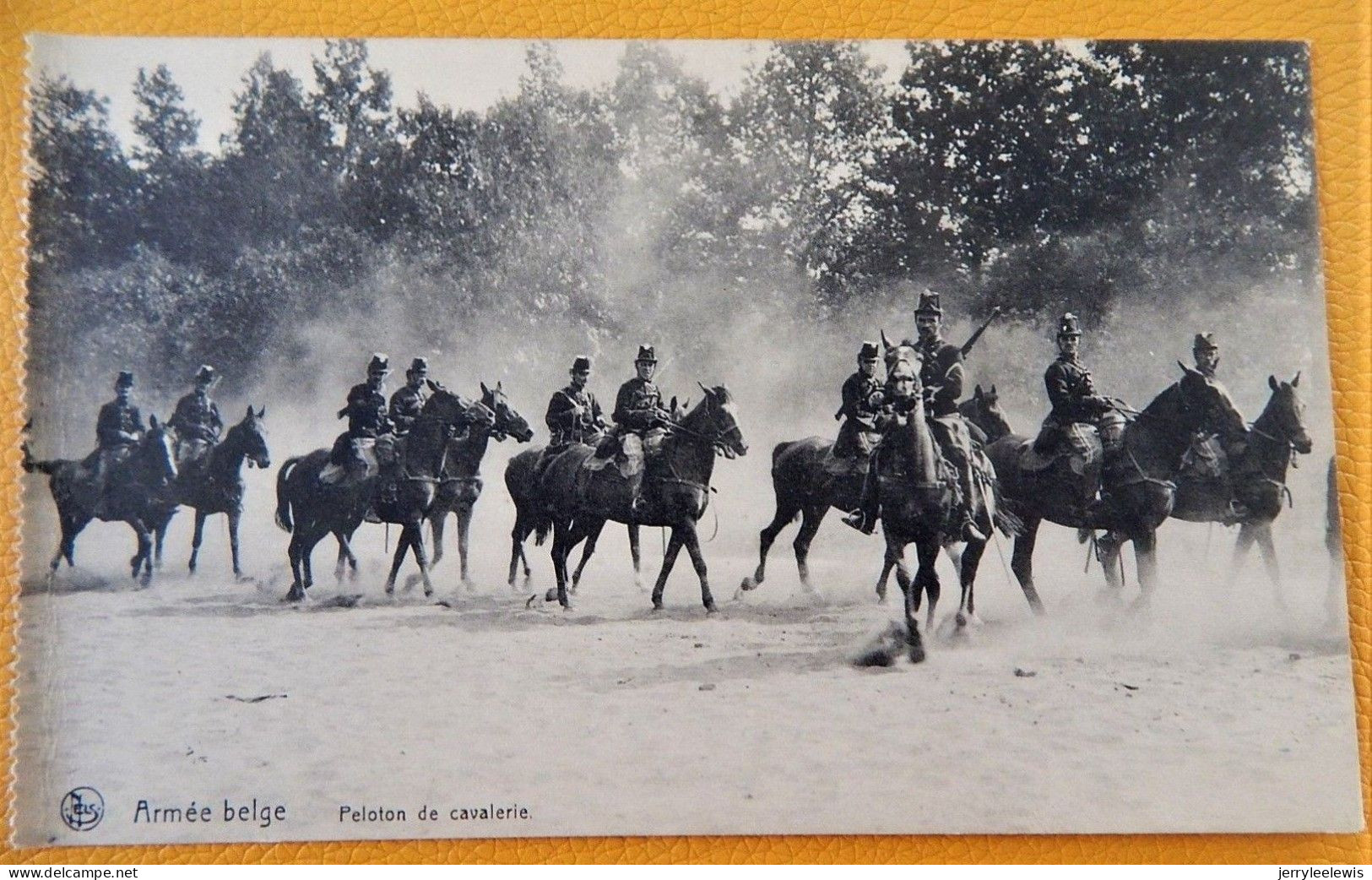 MILITARIA - ARMEE BELGE - BELGISCH LEGER -  Peloton De Cavalerie - Manovre