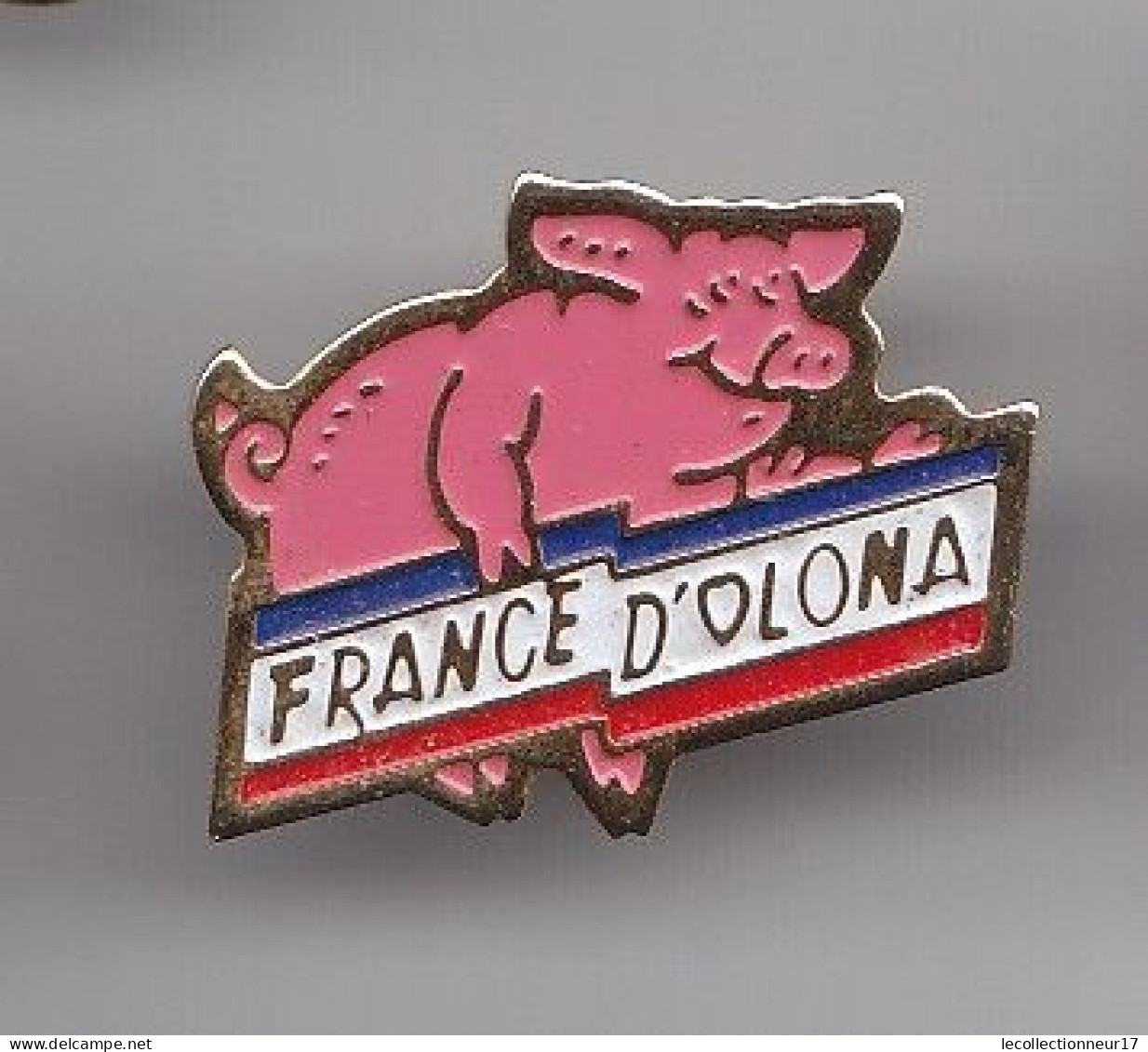 Pin's Cochon France D'Olona Réf 5173 - Animaux