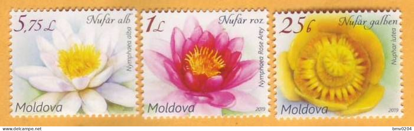 2019 Moldova Moldavie  Flora, Flowers, Water Lilies. Nature  3v Mint - Orchideeën