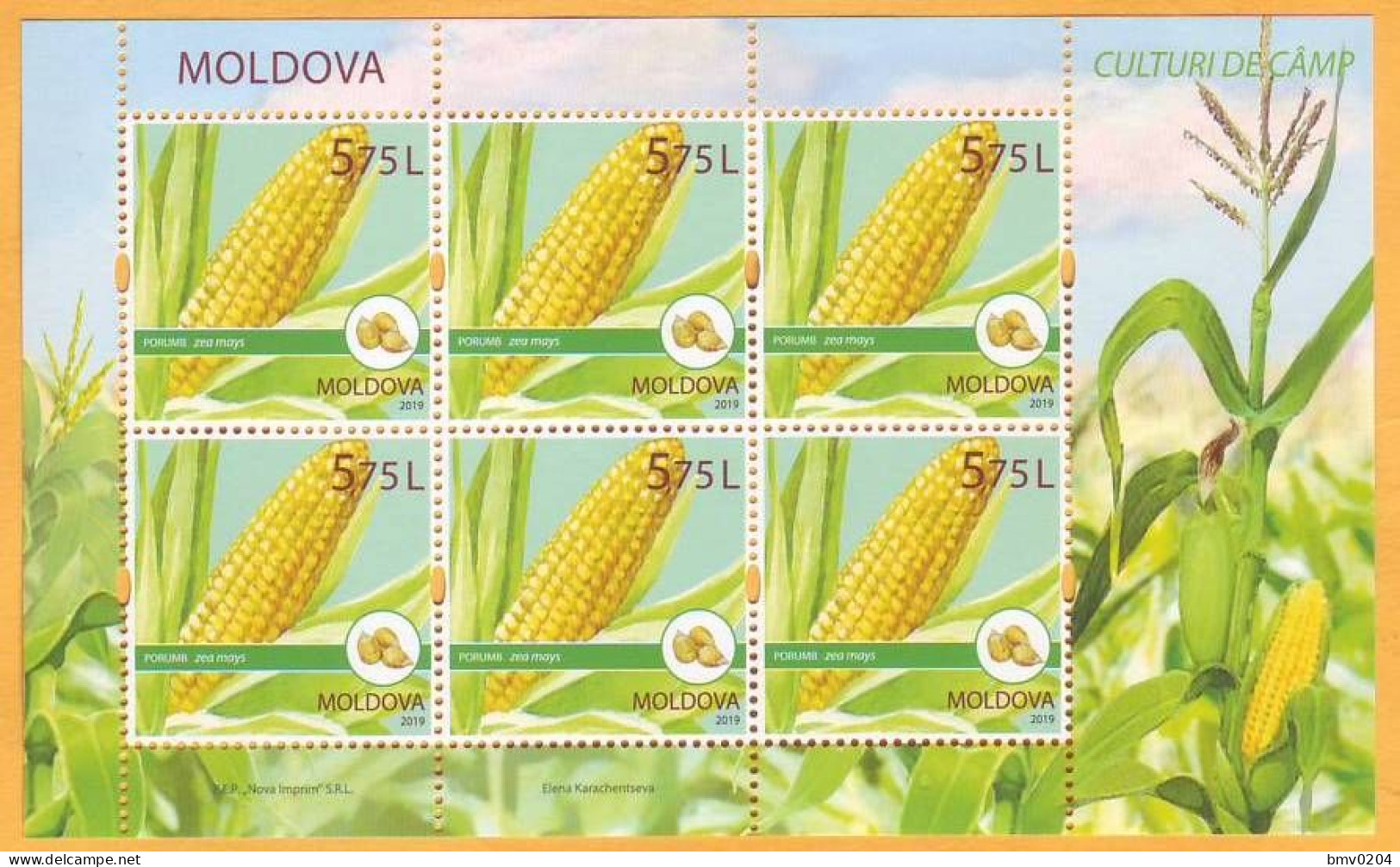 2019 Moldova Moldavie  Cereal Crops. Field Crops Corn. Sheet Mint - Moldavie