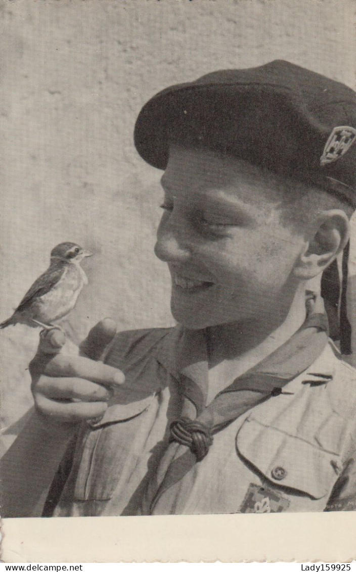 Garçon En Habit De Cadet Sourire Heureux Un Oiseau Béret écusson  Smile Happy Cadet Outfit 2 Scans - Portraits