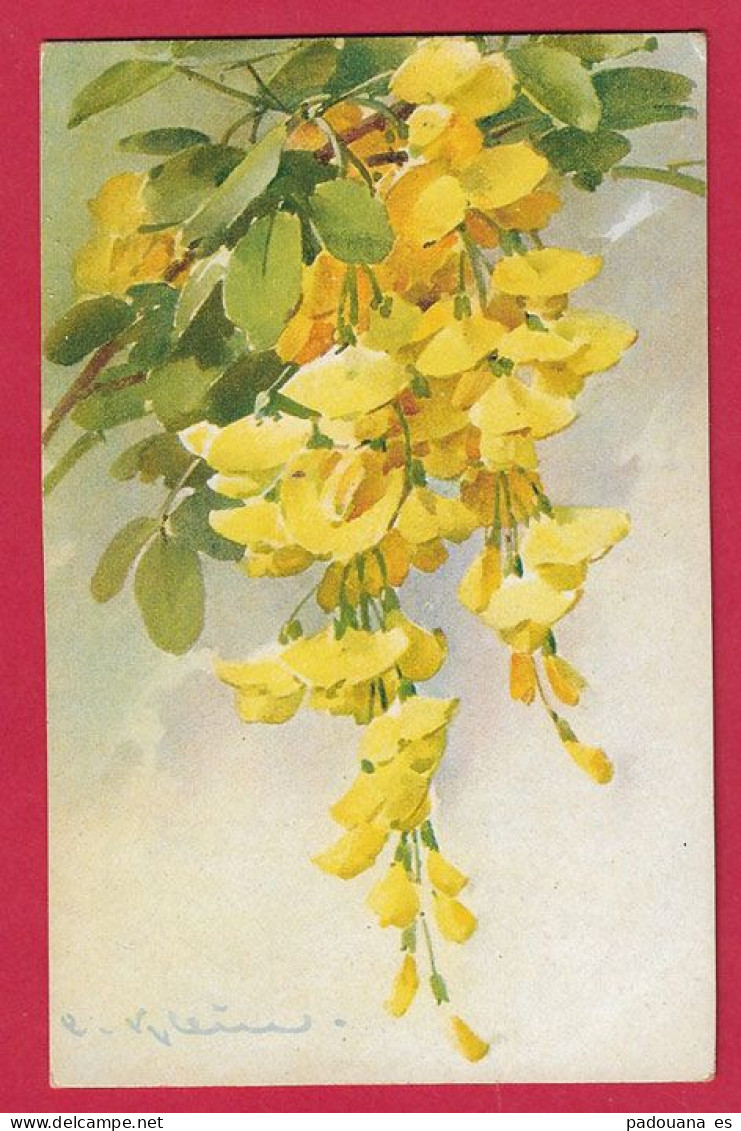 AF45 FANTAISIE ACACIAS FLEURS JAUNES C.KLEIN - Klein, Catharina