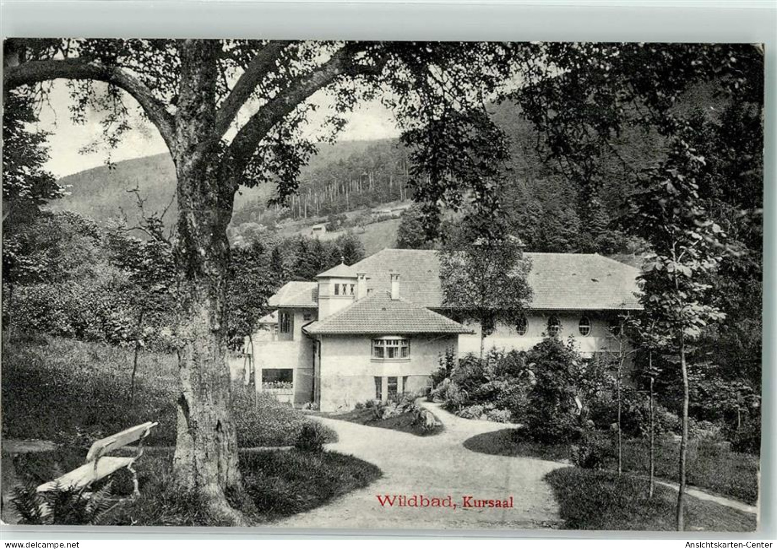 39524506 - Bad Wildbad Im Schwarzwald - Other & Unclassified