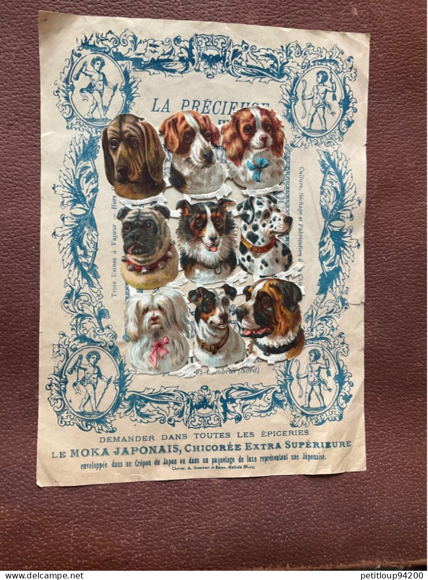 3 Decoupis  B.BOURGEOIS & LABBE  La Précieuse CHICORÉE EXTRA  Visuels CHIENS  Cambrai & Proville  NORD - Animales
