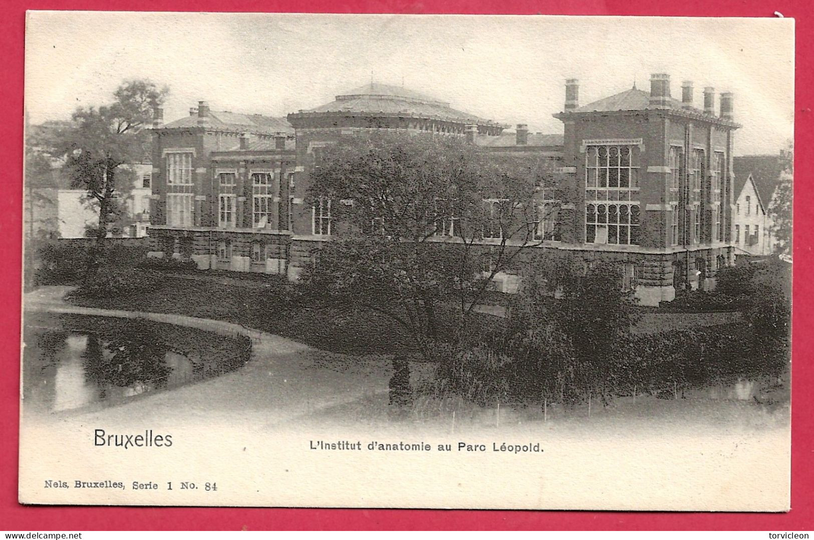 C.P. Bruxelles =  L'  Institut D' Anatomie  Au Parc  Léopold - Brüssel (Stadt)