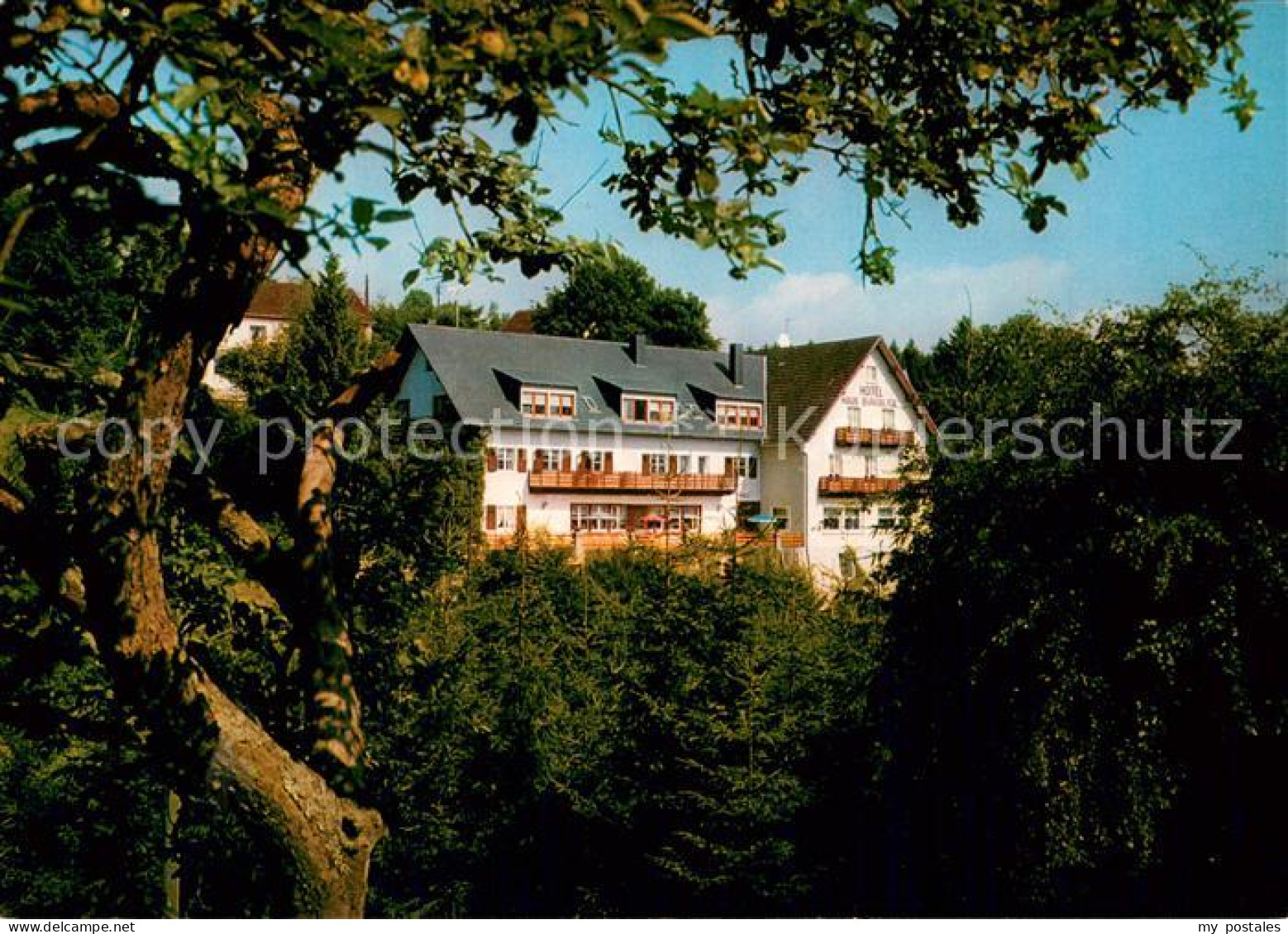 73707695 Manderscheid Eifel Hotel Pension Haus Burgblick Manderscheid Eifel - Manderscheid