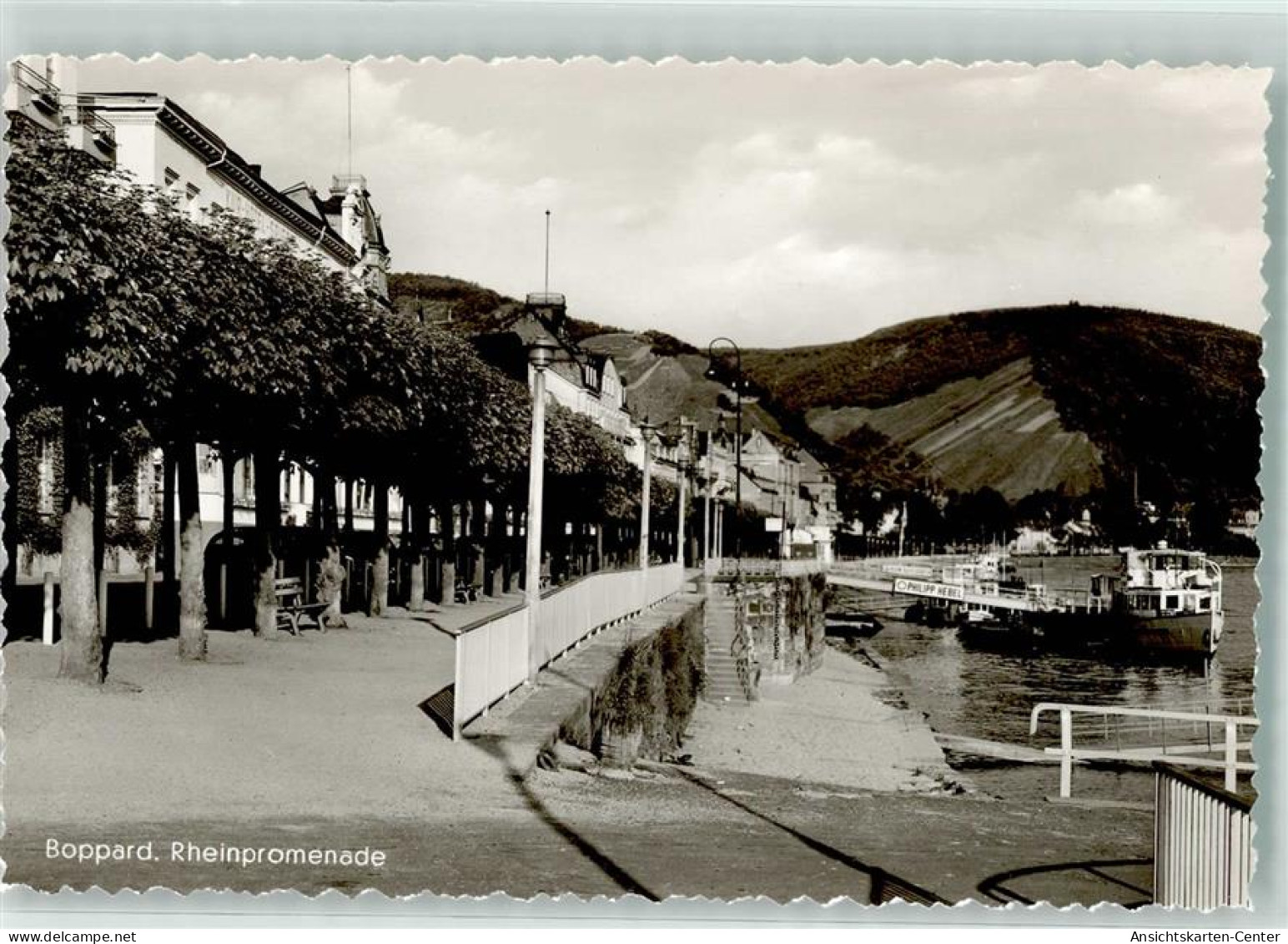 39540706 - Boppard , Rhein - Boppard