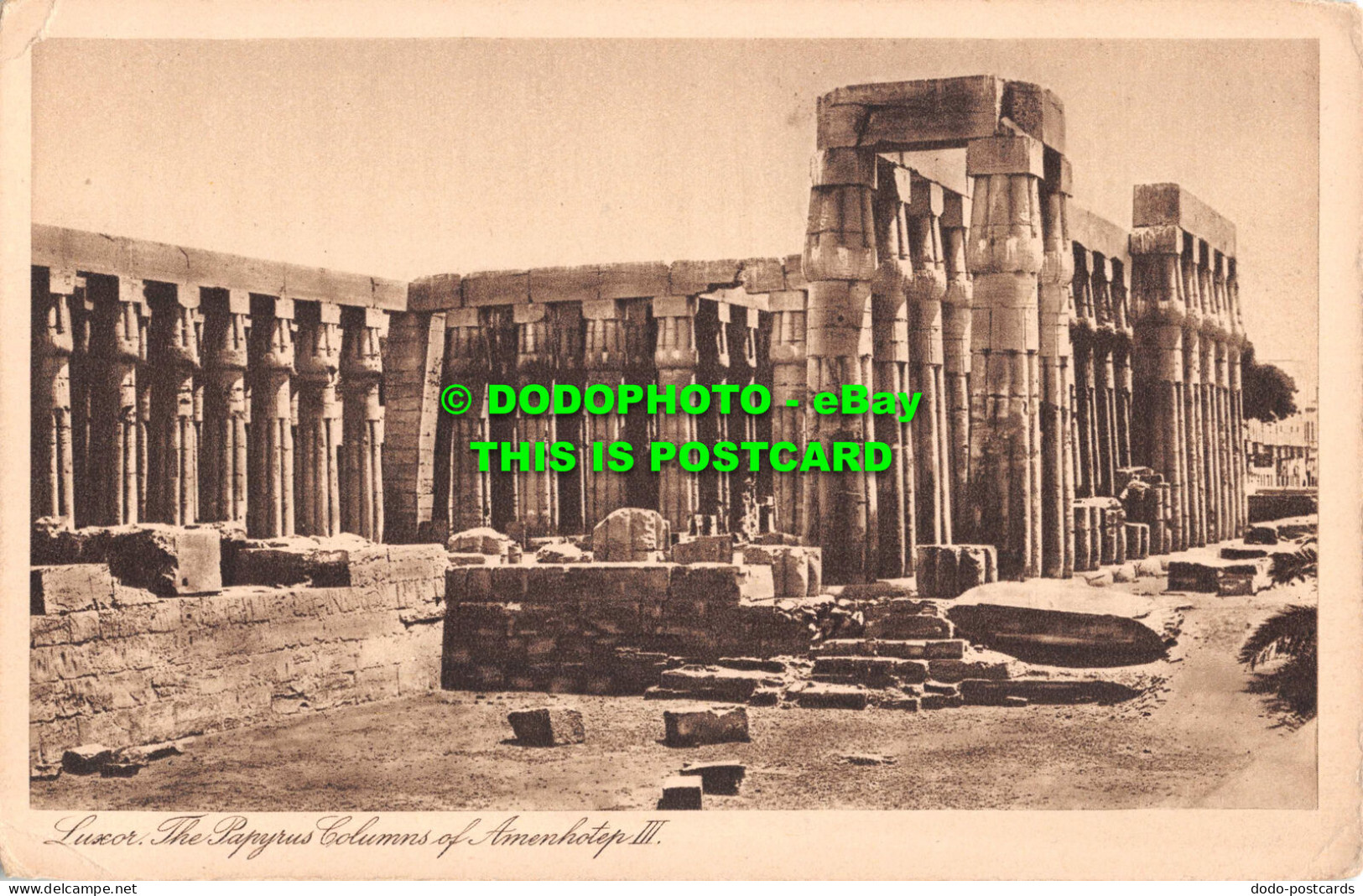 R551513 Luxor. Papyrus Columns Of Amenhotep III. Gaddis And Seif. Serie 103. No. - Mundo