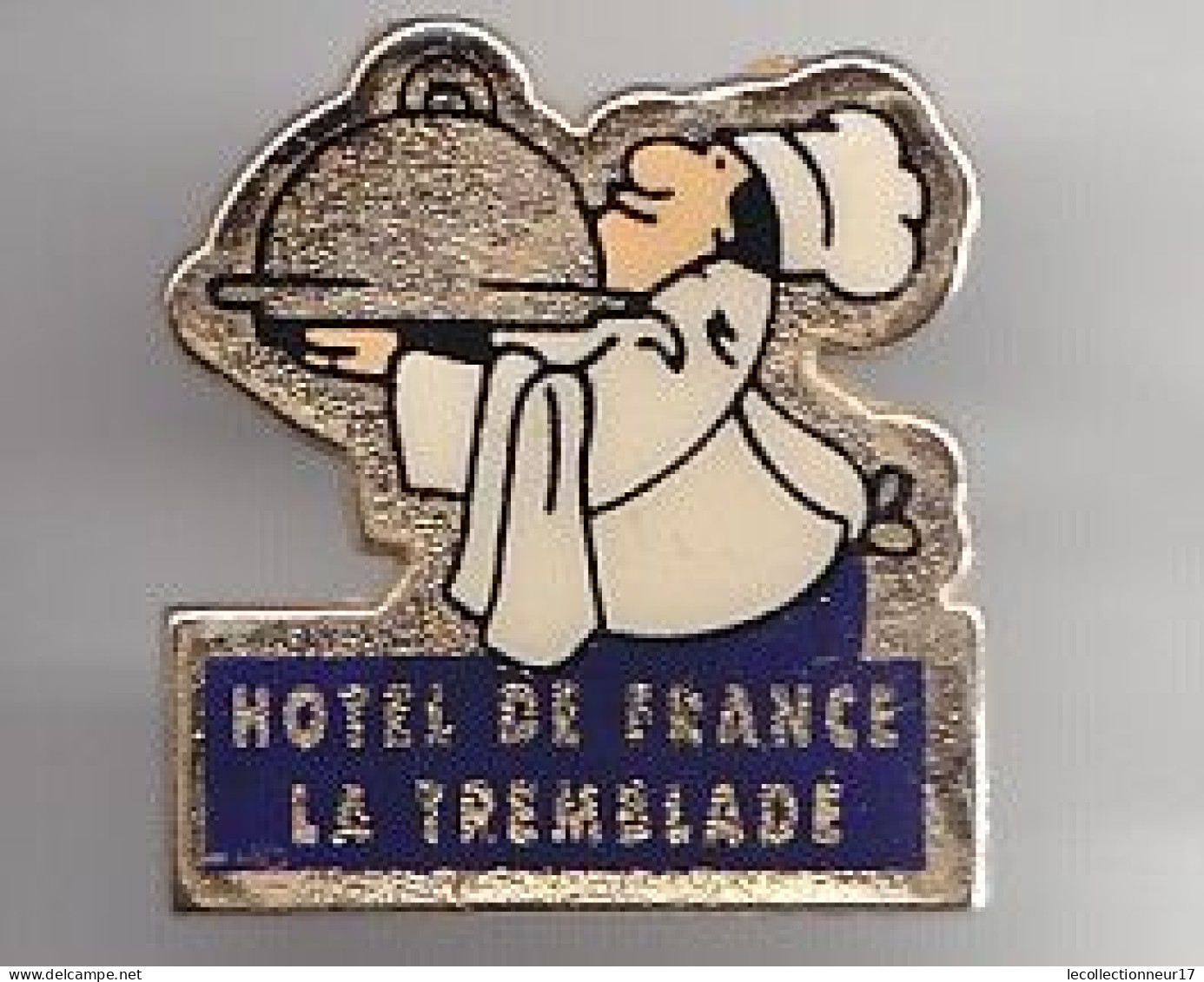 Pin's Hôtel De France La Tremblade En Charente Maritime Dpt 17 Réf 2123 - Ciudades