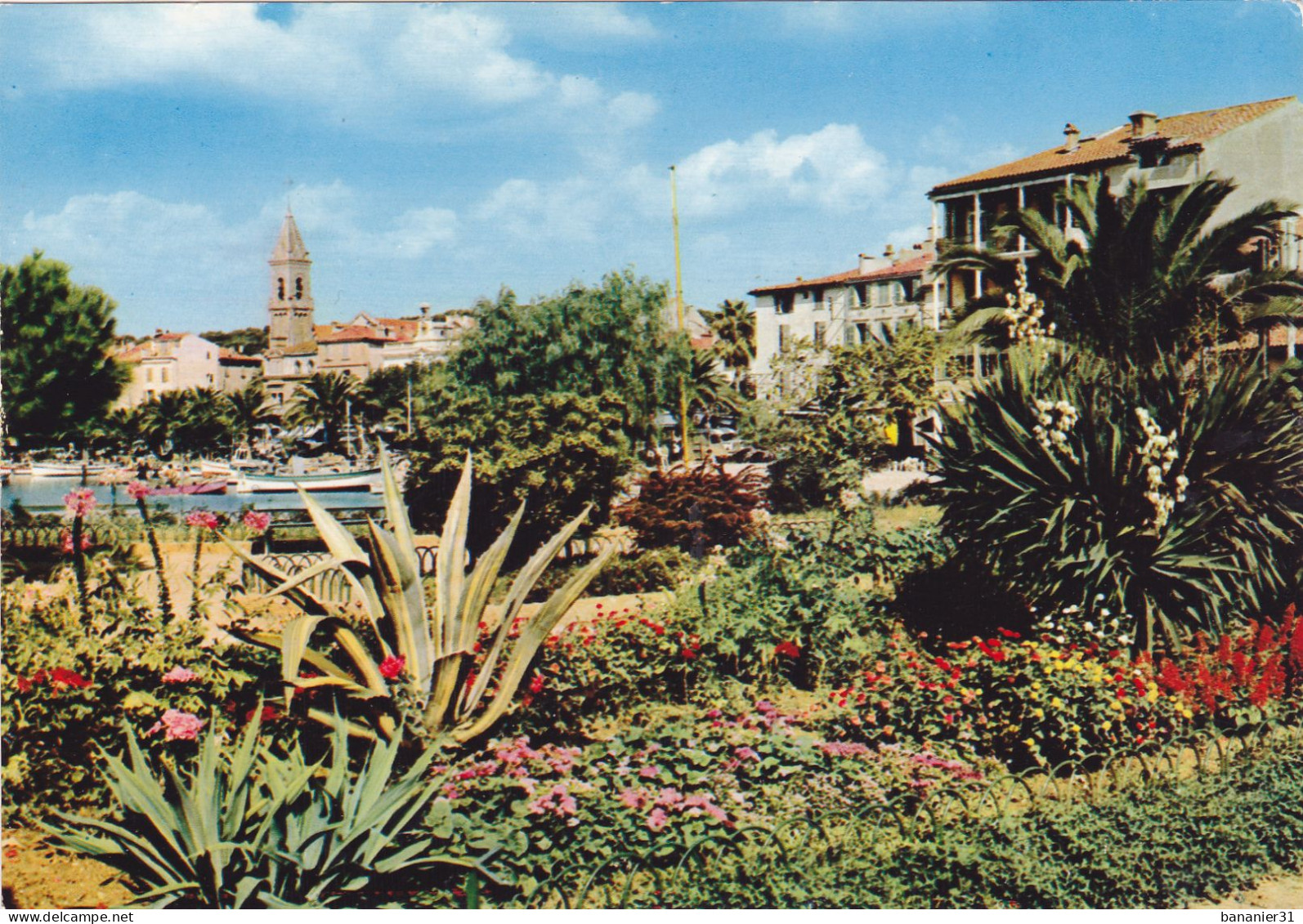 CPSM 83 - VAR - SANARY Sur Mer - Lot De 5 Cartes - Sanary-sur-Mer