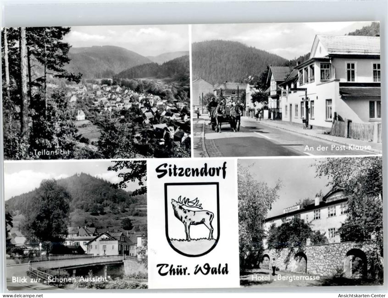 51299906 - Sitzendorf - Other & Unclassified