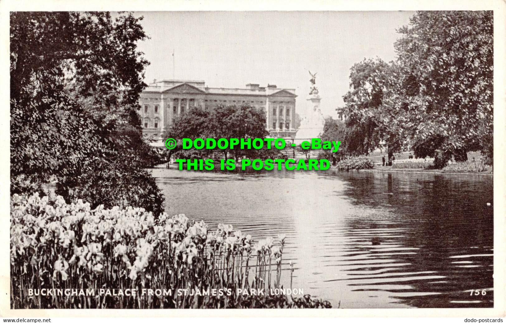 R551765 Buckingham Palace From St. Jamess Park. London. 156 - Autres & Non Classés