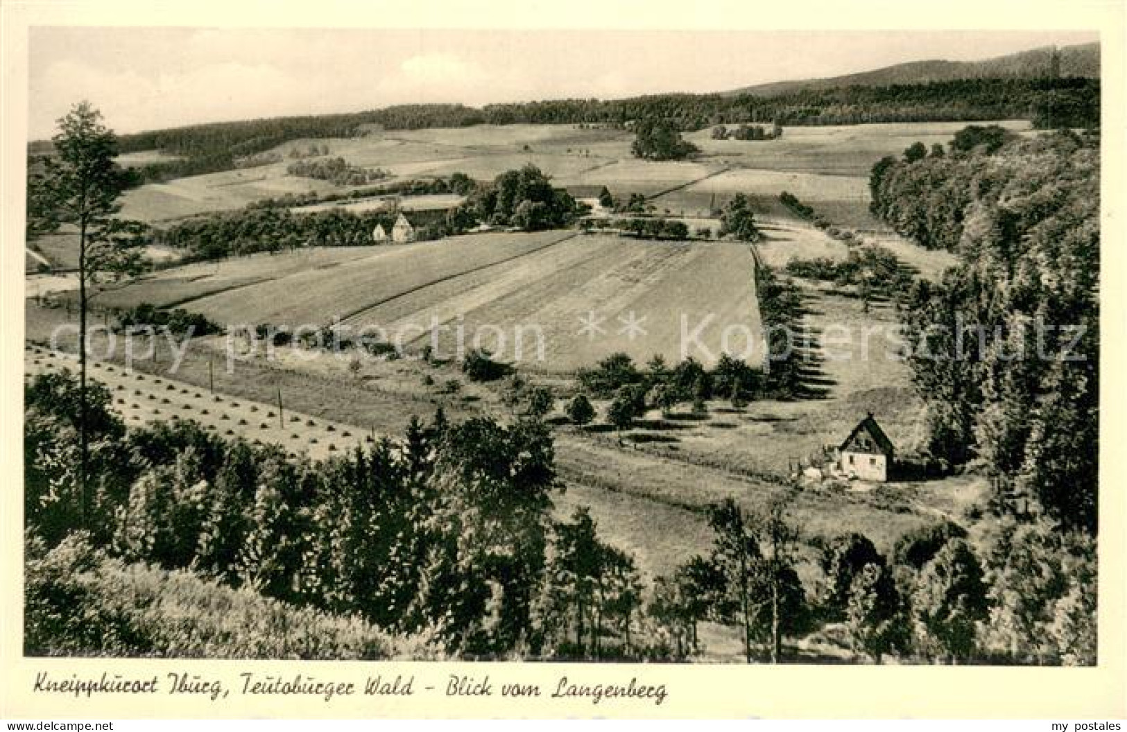 73707389 Iburg Teutoburger Wald Blick Vom Langenberg Iburg Teutoburger Wald - Andere & Zonder Classificatie