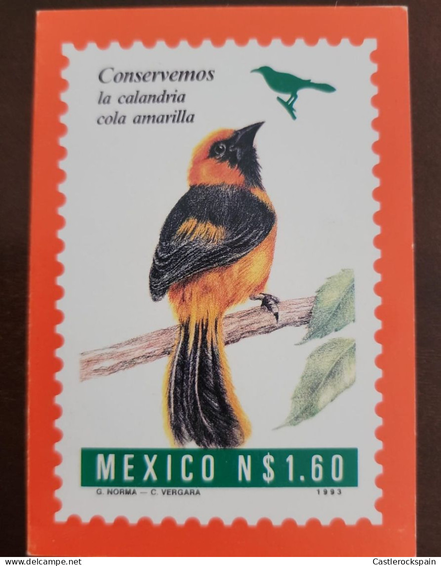 O) 1993  MEXICO, MEXICO CONSERVA - LET'S CONSERVE, BIRD - CALANDRIA COLA AMARILLA - YELLOW-TAILED CALANDRIA, POSTAL, XF - Mexique