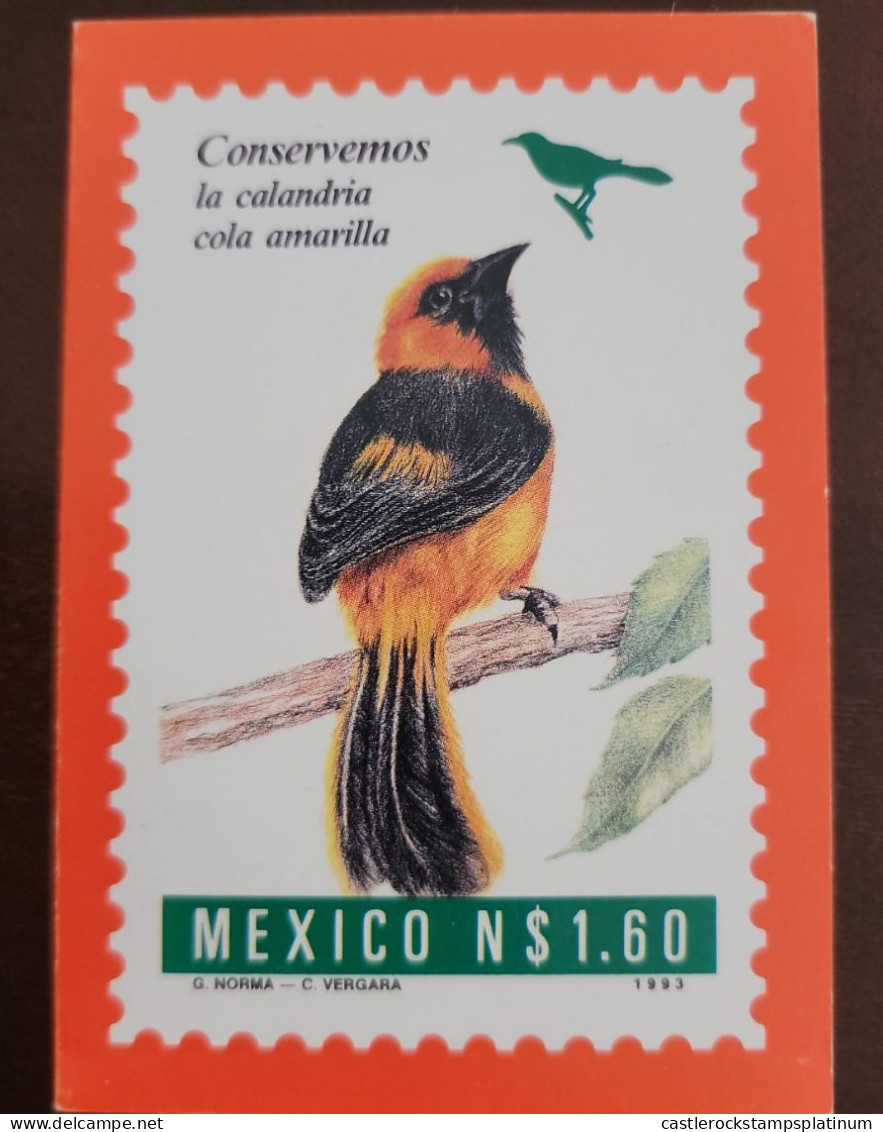 O) 1993  MEXICO, MEXICO CONSERVA - LET'S CONSERVE, BIRD - CALANDRIA COLA AMARILLA - YELLOW-TAILED CALANDRIA, POSTAL, XF - Mexico